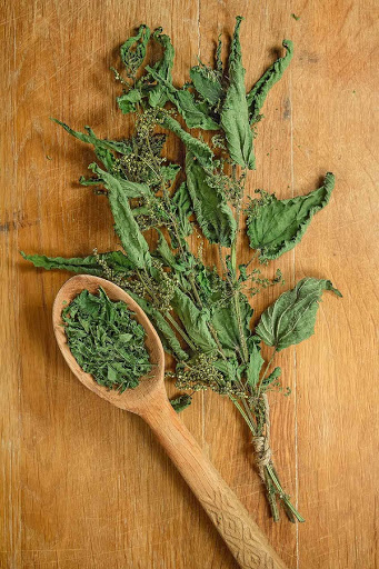 You can find high quality dried nettle available for purchase in the Apothecary.